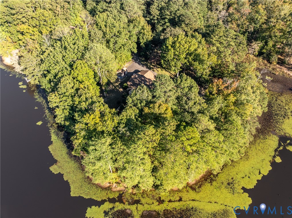 Aerial perspective of a waterfront property featuring a wooded landscape, mature trees, and a paved driveway