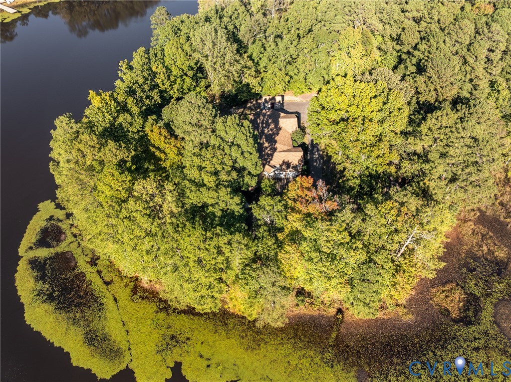 Aerial view of a waterfront property featuring a multi-level roof structure, paved driveway, and extensive mature tree canopy
