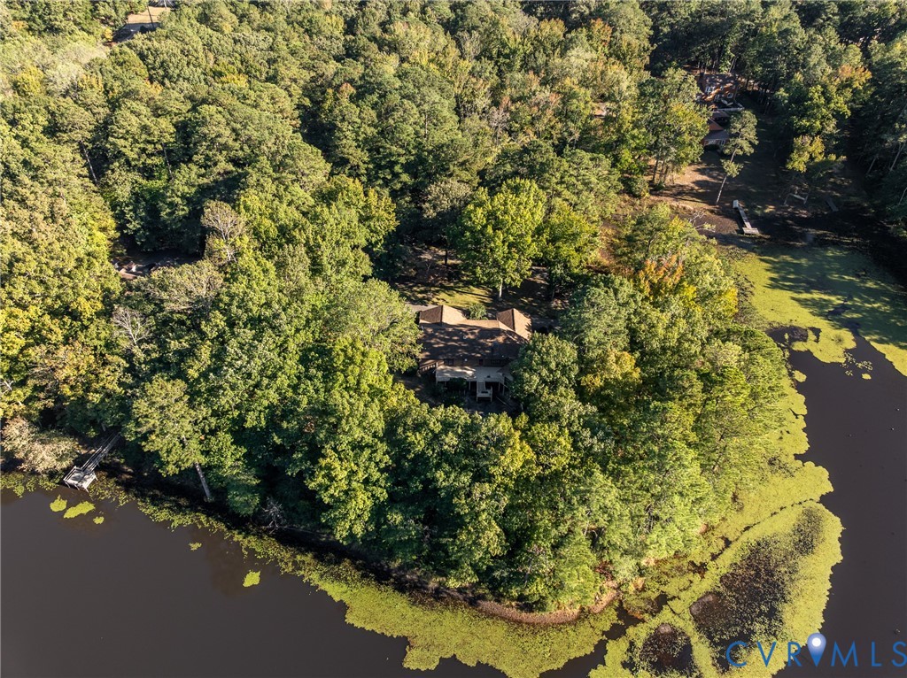 Waterfront estate featuring mature hardwood trees, a private wooden dock, and extensive shoreline on a wooded lot