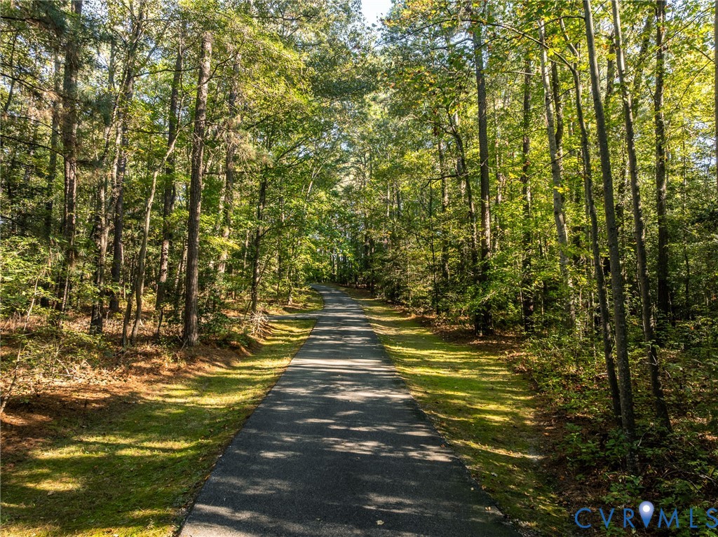 Asphalt driveway bordered by established trees and woodland vegetation