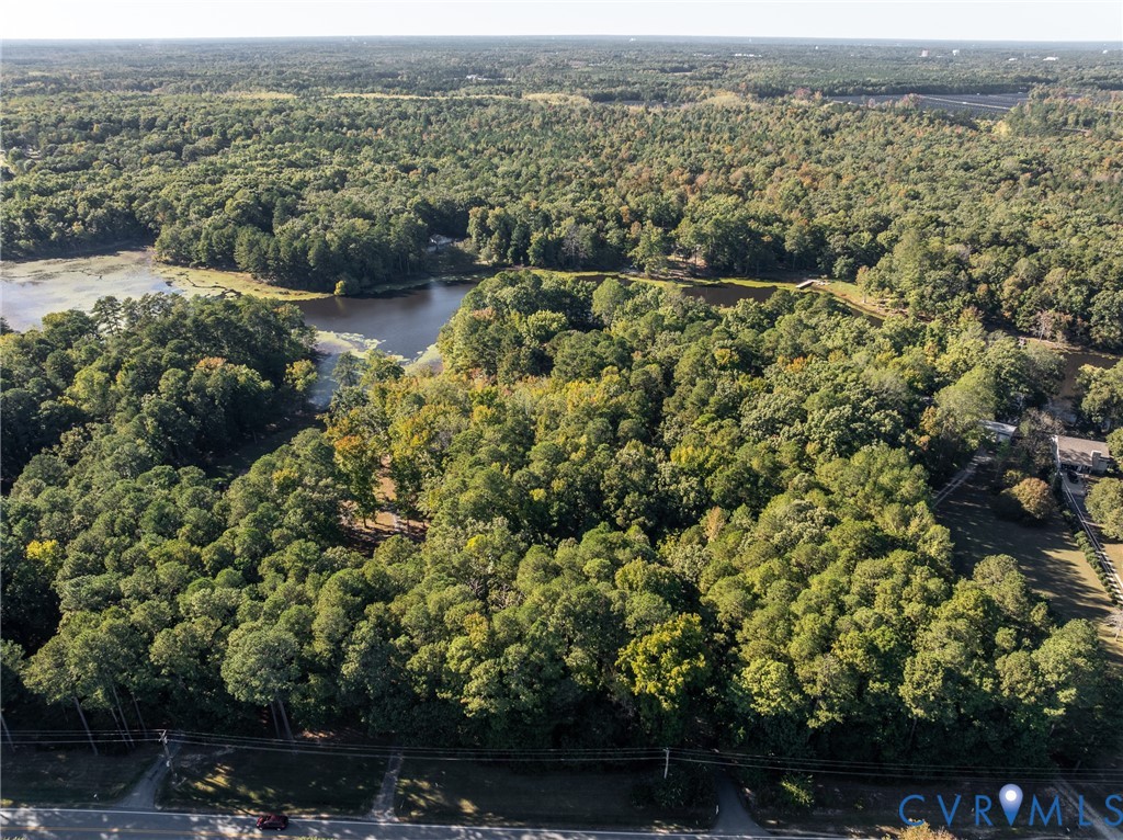 Expansive wooded lot featuring mature trees, natural terrain, and direct water frontage