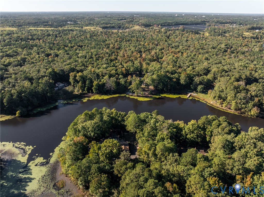 Aerial perspective of a waterfront property featuring dense mature trees and a private wooden dock