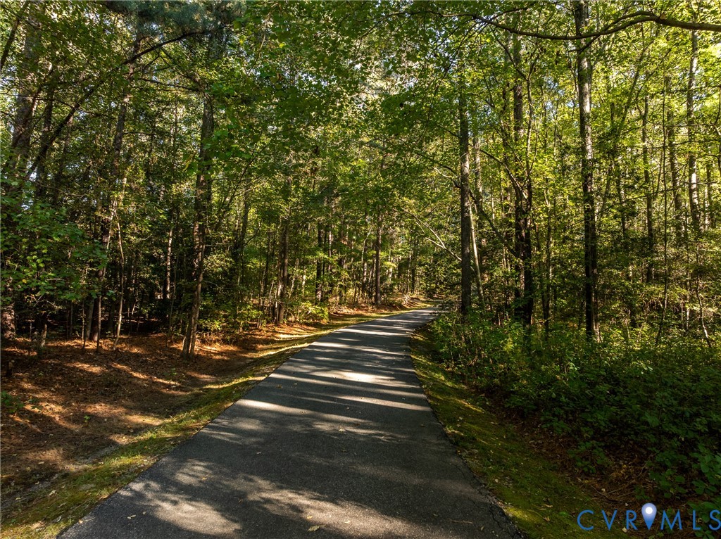 Asphalt paved path bordered by mature trees and natural woodland landscape