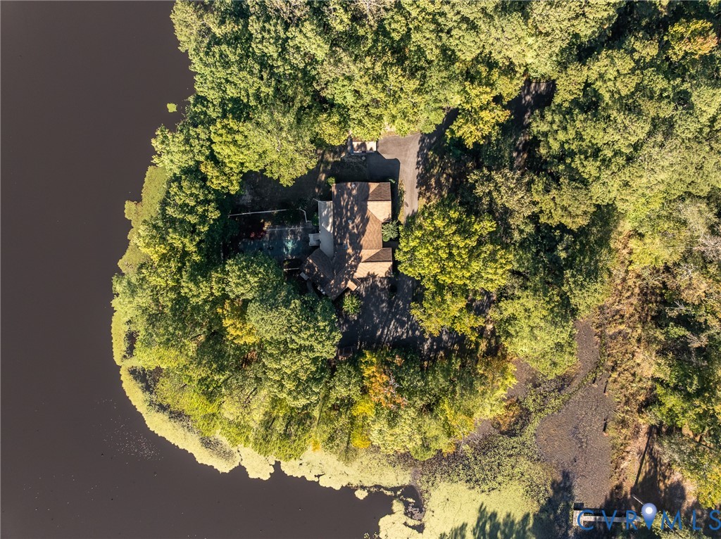 Aerial view of a waterfront property featuring dense mature tree cover, a paved driveway, and a private dock