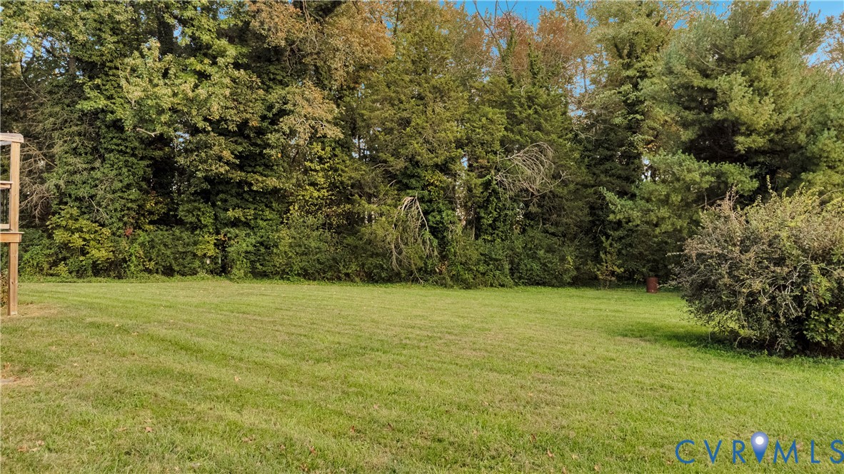 Expansive backyard featuring a level grass lawn and a dense backdrop of mature trees