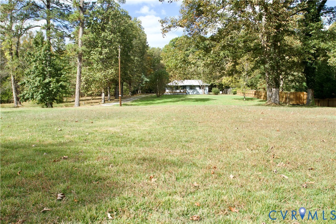 Expansive grassy lot featuring mature tree canopy, wood-panel fencing, and a gravel driveway