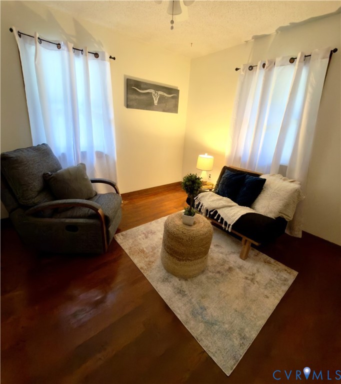 Wood-finish flooring, two windows with metal curtain rods, and a ceiling-mounted light fixture