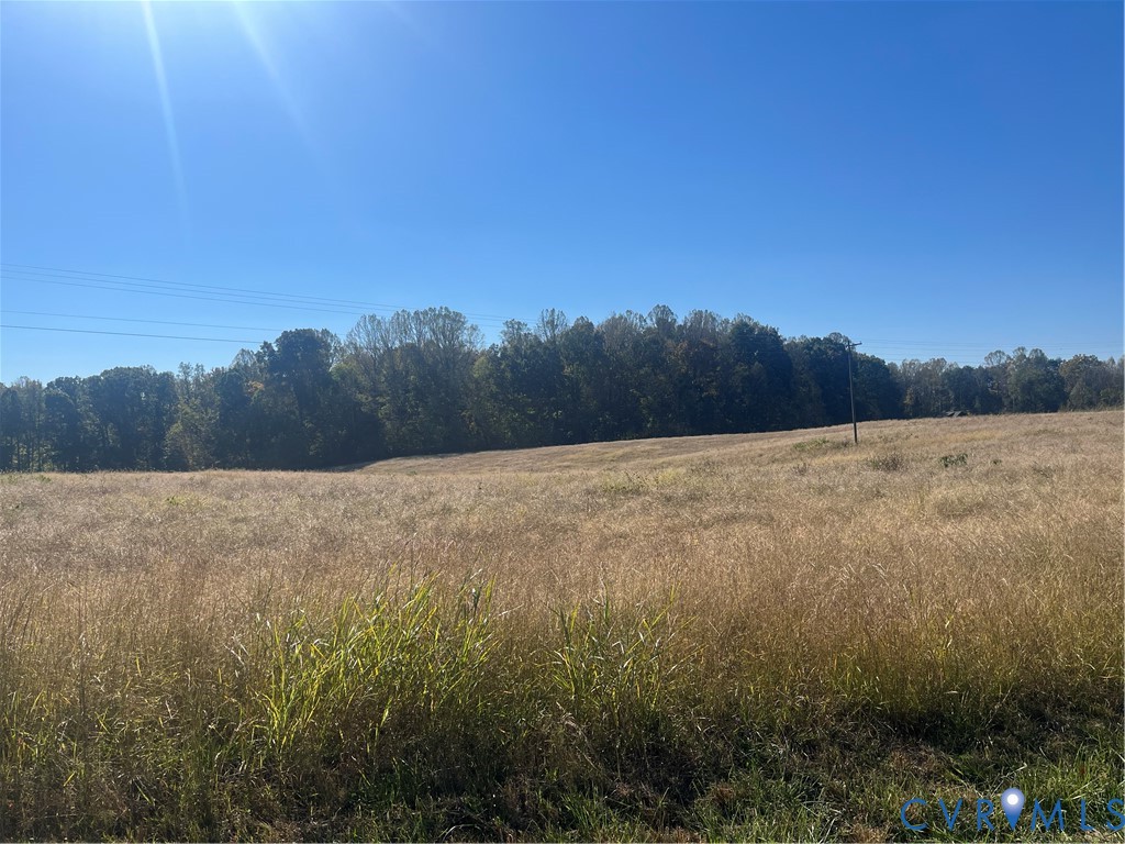 Expansive open acreage featuring rolling topography and mature treeline borders Expansive open acreage featuring rolling topography and mature treeline borders