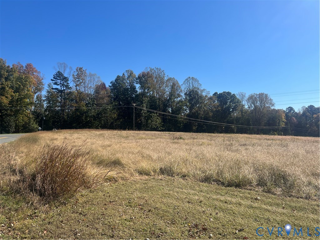Expansive open acreage featuring cleared topography and mature perimeter trees Expansive open acreage featuring cleared topography and mature perimeter trees