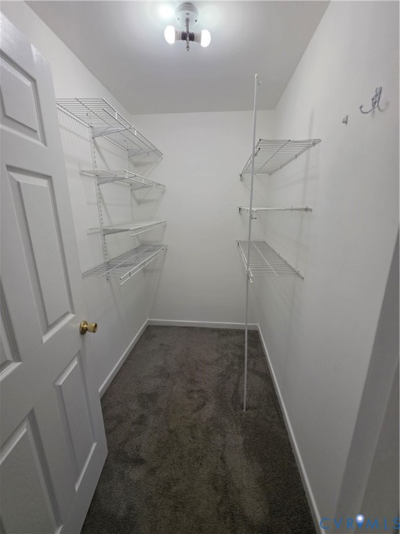 Walk-in closet featuring wall-to-wall carpeting, dual-tier wire shelving, and a dual-bulb ceiling light fixture