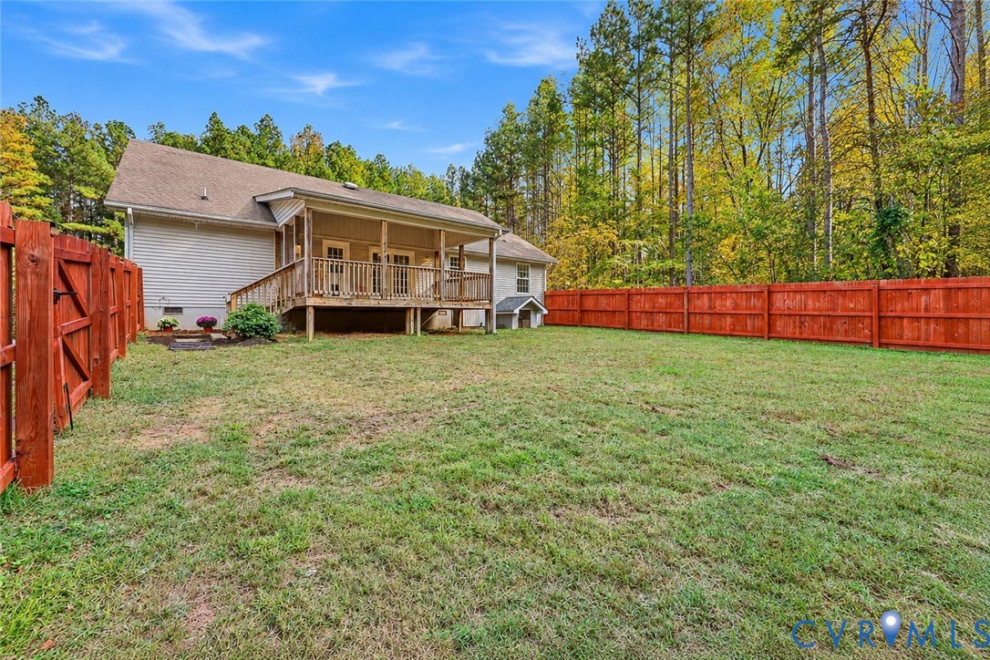 Back Yard