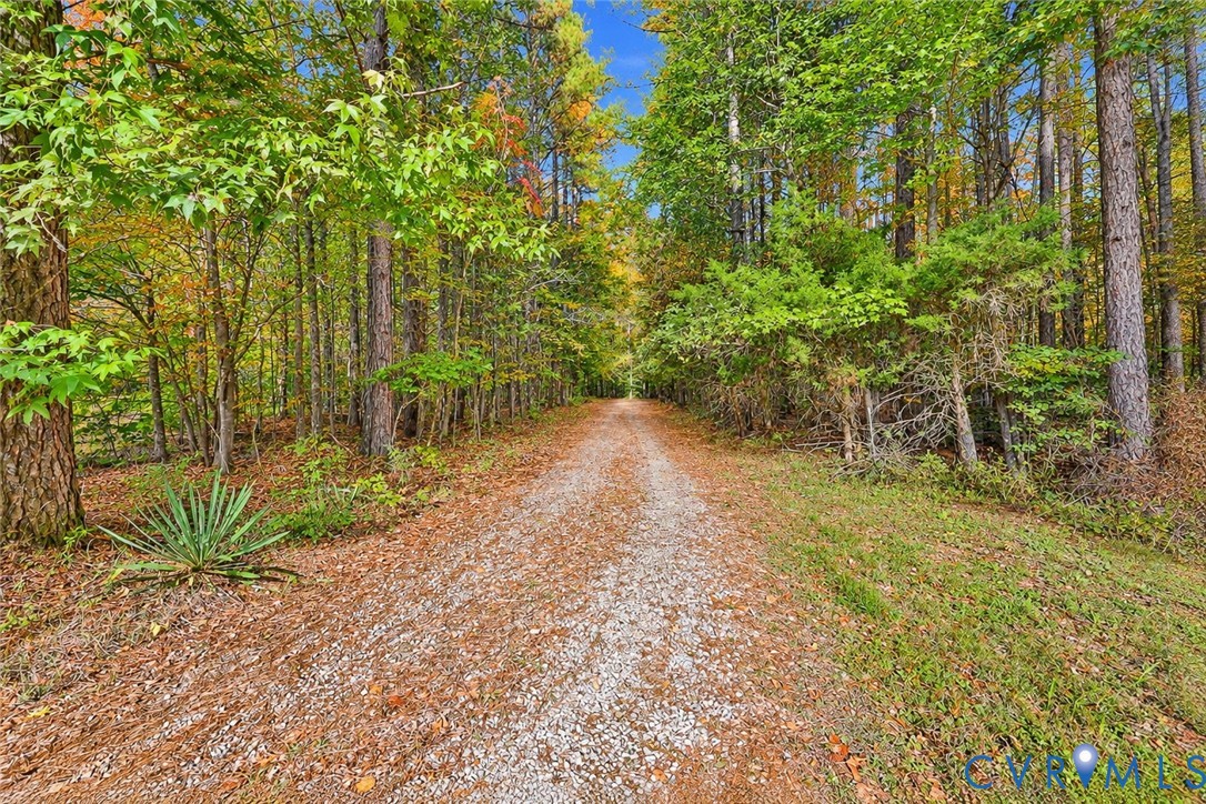Driveway