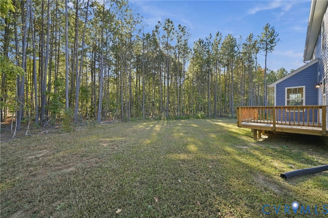 Rear yard featuring a wood deck, blue lap siding, and established pine trees