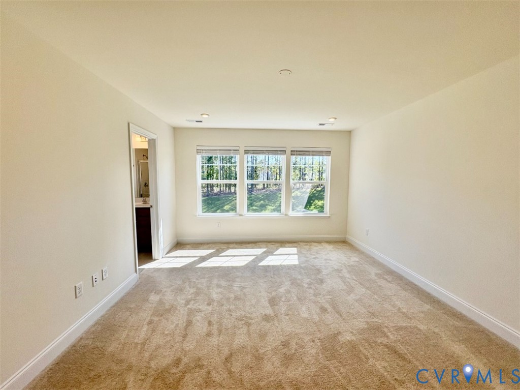 18754 Palisades Ridge, Moseley, VA 23120