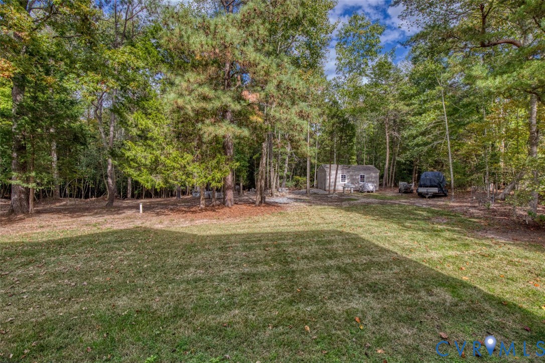 Expansive backyard featuring a grass lawn, mature trees, and a detached storage structure