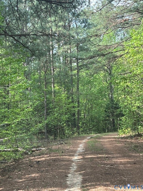 7475 Richmond Road, Amelia, VA 23002