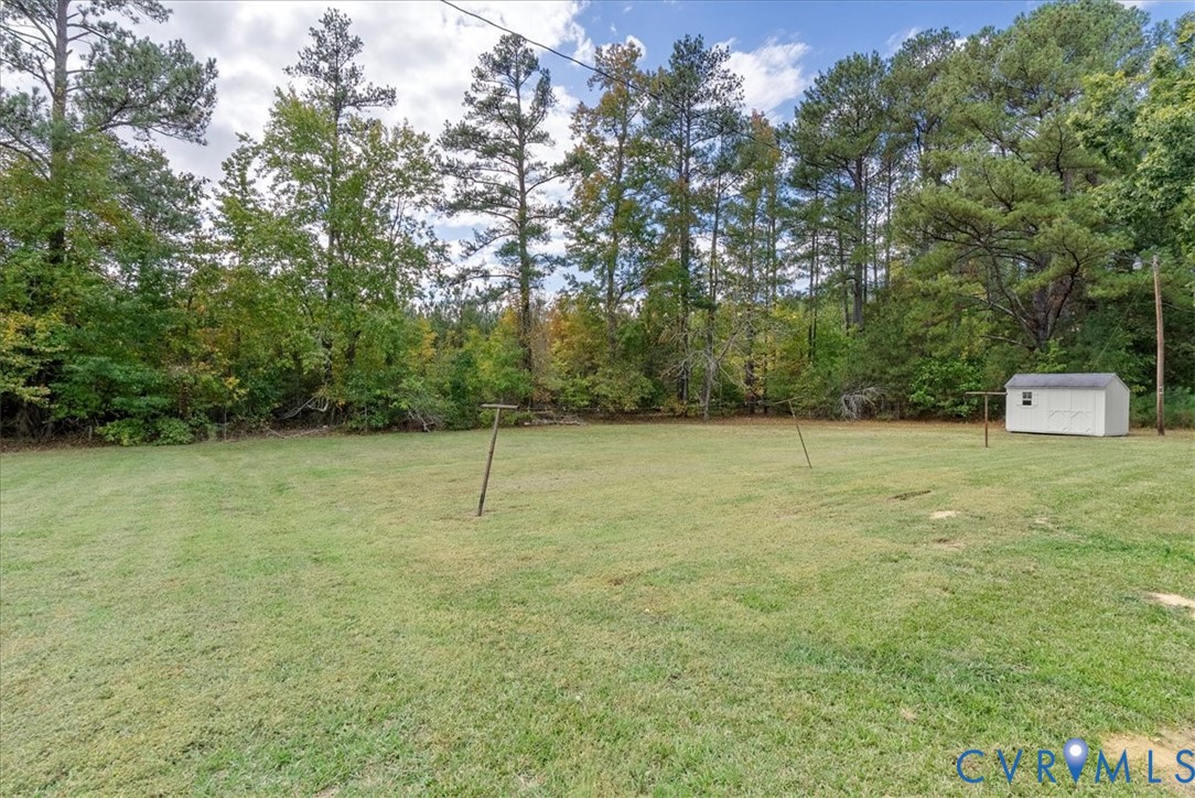 Expansive backyard featuring a level lawn, mature tree line, and detached storage building