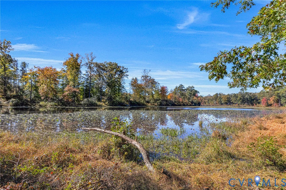 Waterfront property featuring a natural pond, native shoreline vegetation, and mature deciduous trees