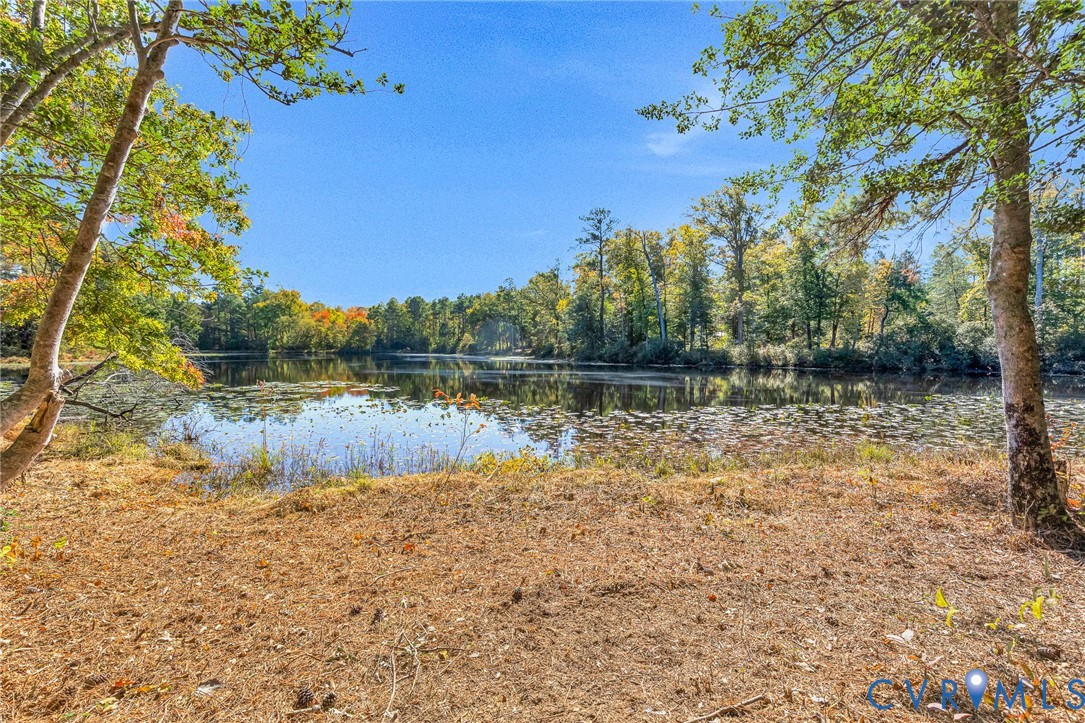 Waterfront lot featuring a natural pond, mature deciduous trees, and varied native vegetation
