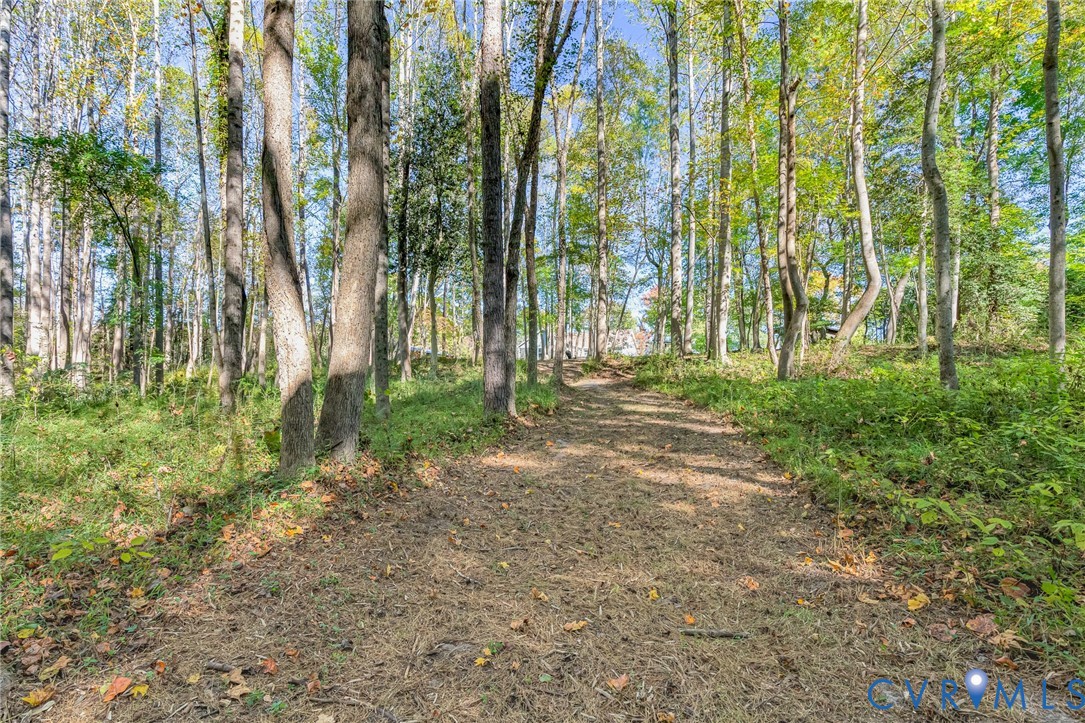 Wooded parcel featuring a natural earthen path and mature deciduous trees