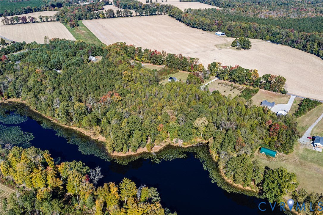 Aerial view featuring expansive acreage, mature forest coverage, and direct waterfront access