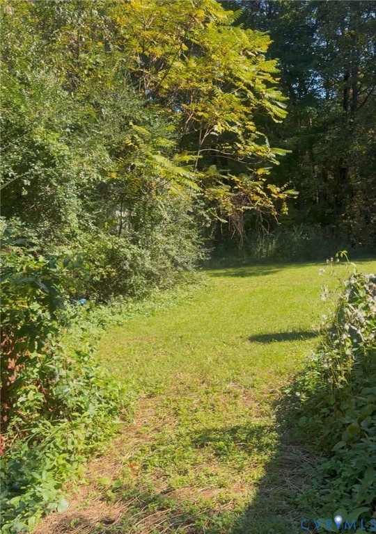 Expansive lot featuring mature trees and established perimeter vegetation Expansive lot featuring mature trees and established perimeter vegetation