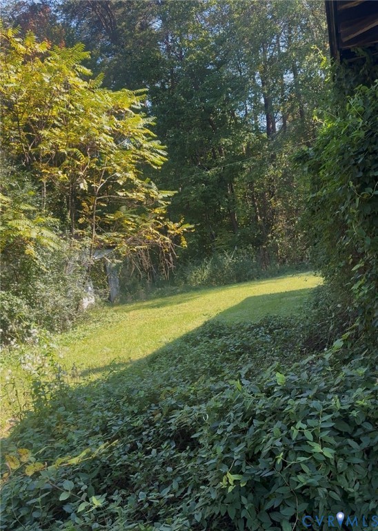 Outdoor grounds featuring a sloped grassy lawn, dense perimeter foliage, and a backdrop of mature deciduous trees Outdoor grounds featuring a sloped grassy lawn, dense perimeter foliage, and a backdrop of mature deciduous trees