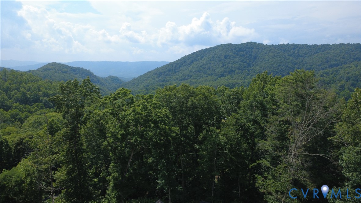 Expansive mountain range backdrop featuring mature, dense forest canopy