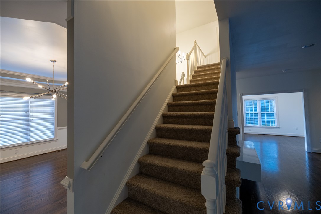 Staircase with carpeted treads and white handrail, wood-finish flooring, multi-light modern chandelier, and multi-pane windows