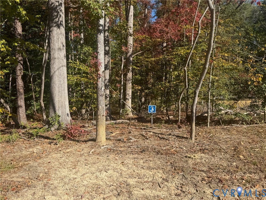 5329 Ridgewood Hills Drive, Ridgewood Estates, Williamsburg, VA 23188