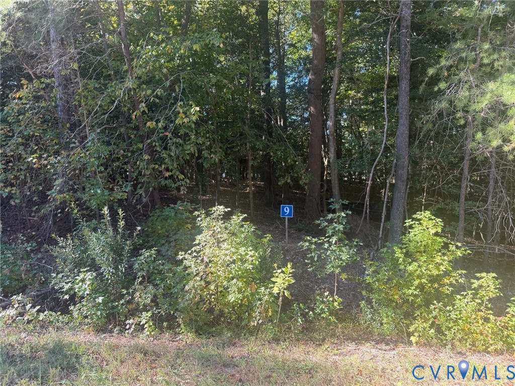 Lot 9 - A secluded wooded homesite offering privacy, natural beauty, and the perfect setting for a custom home.