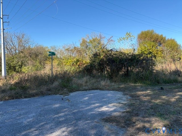 Undeveloped land parcel featuring mature trees, native vegetation, and corner lot positioning