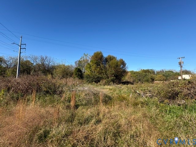Expansive parcel of land featuring native grasses and mature tree clusters