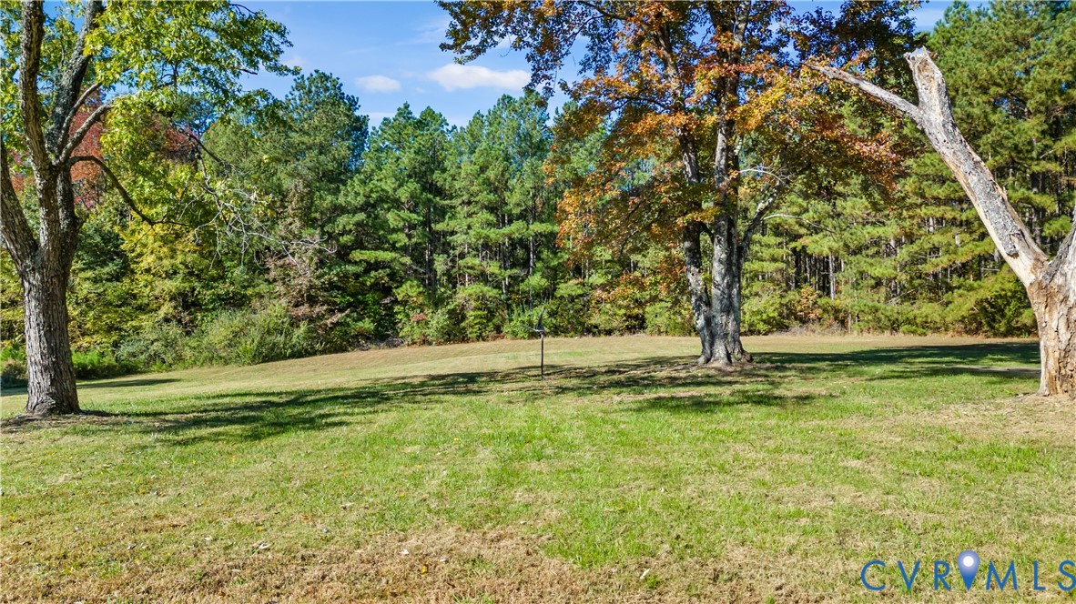 Expansive grassy acreage featuring mature deciduous and coniferous trees