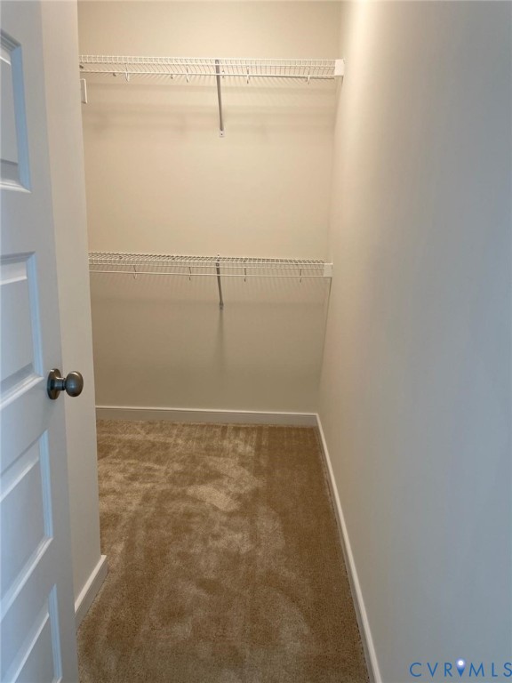 Walk in closet with carpet flooring
