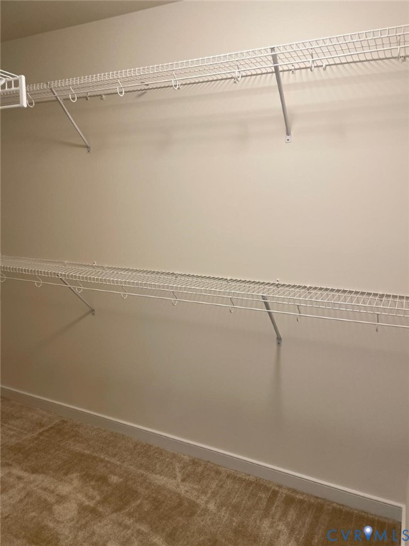 Spacious closet featuring carpet