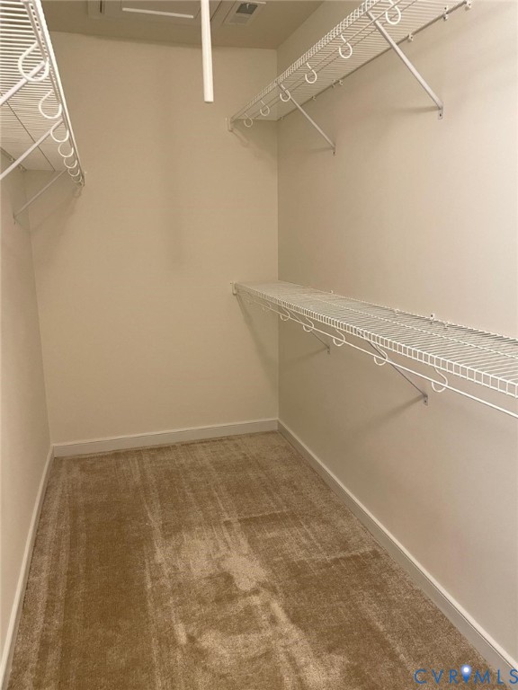 Walk in closet featuring carpet floors