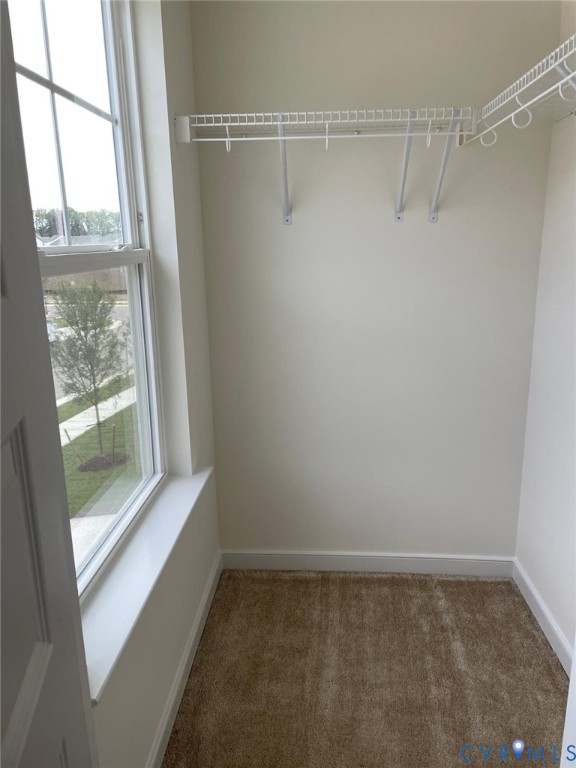 Walk in closet featuring carpet