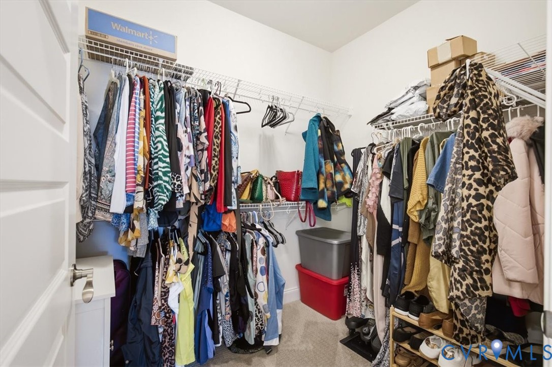 Walk-in storage space featuring multi-level wire shelving and carpeting