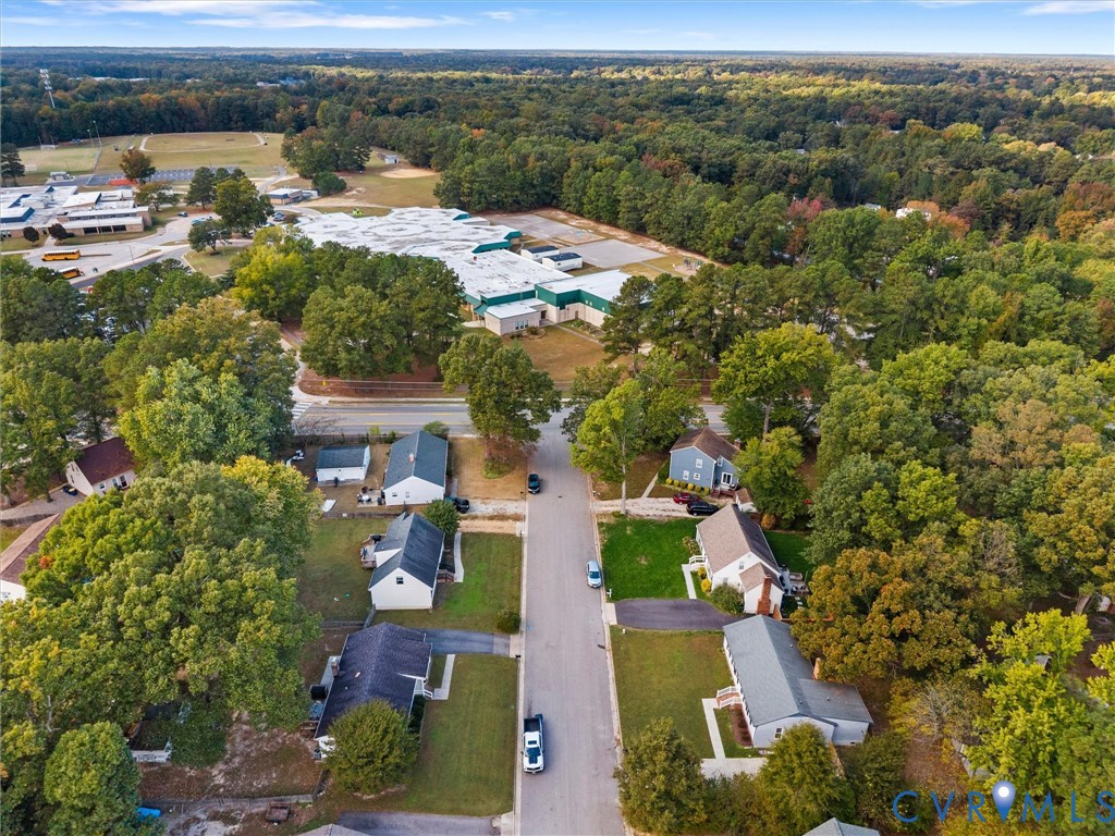 Aerial perspective of a residential street featuring mature trees and expansive green space