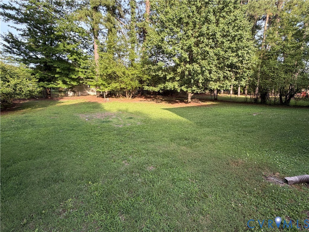 Expansive backyard featuring a level lawn and mature perimeter trees