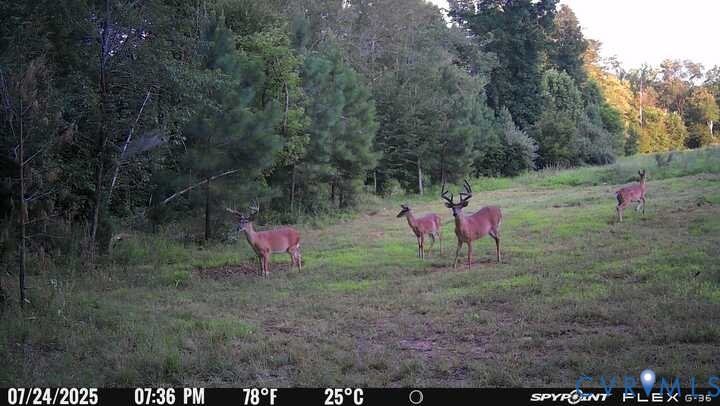 00 Courthouse Road, Louisa, VA 23093