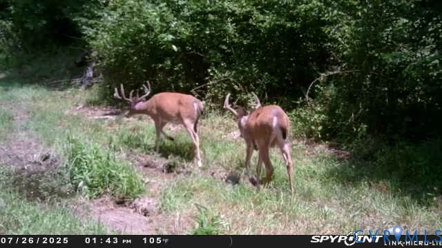00 Courthouse Road, Louisa, VA 23093