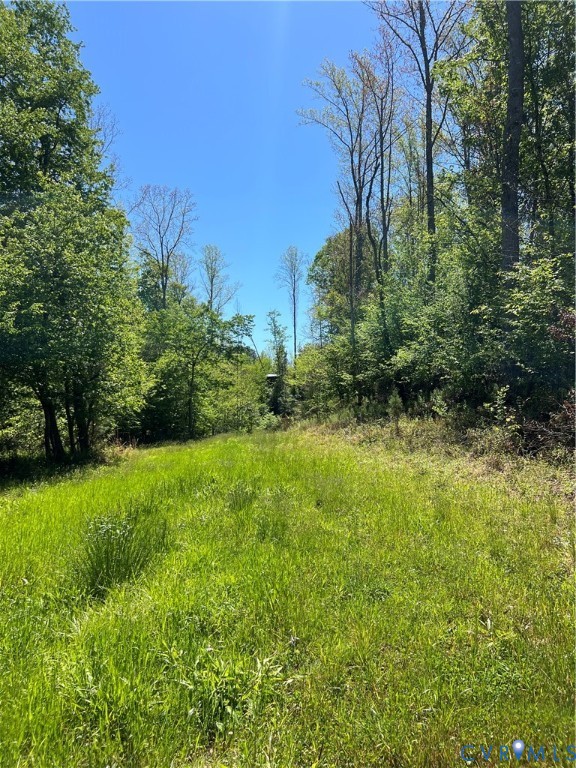 00 Courthouse Road, Louisa, VA 23093