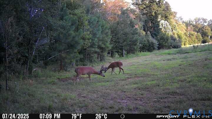 00 Courthouse Road, Louisa, VA 23093