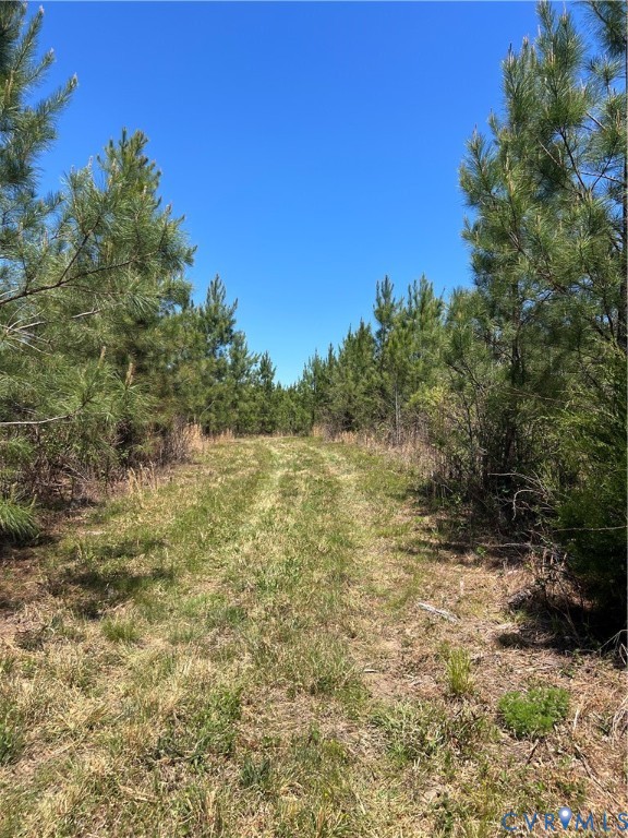 00 Courthouse Road, Louisa, VA 23093