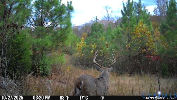 00 Courthouse Road, Louisa, VA 23093