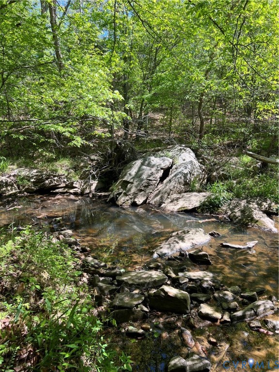 00 Courthouse Road, Louisa, VA 23093