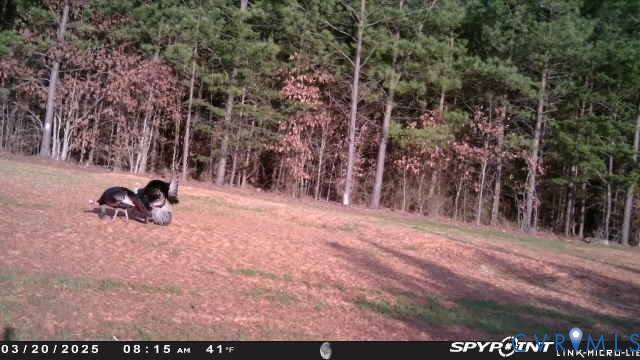 00 Courthouse Road, Louisa, VA 23093