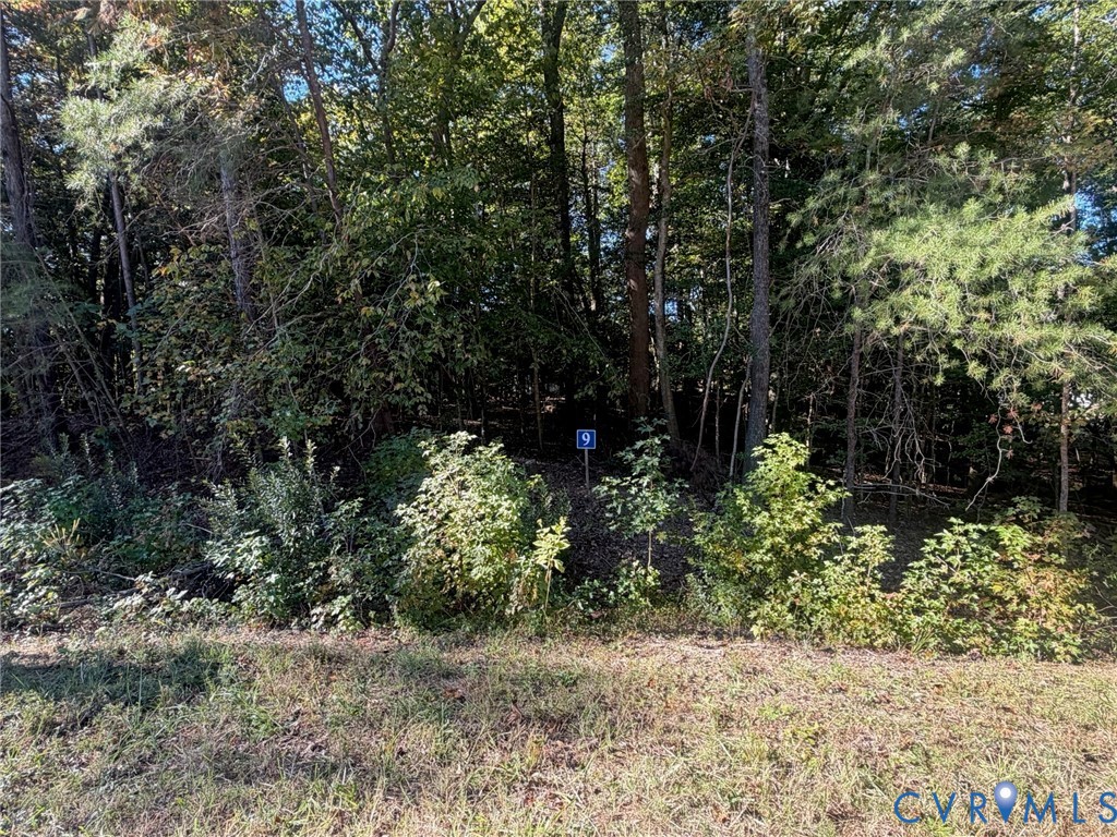 Lot 9